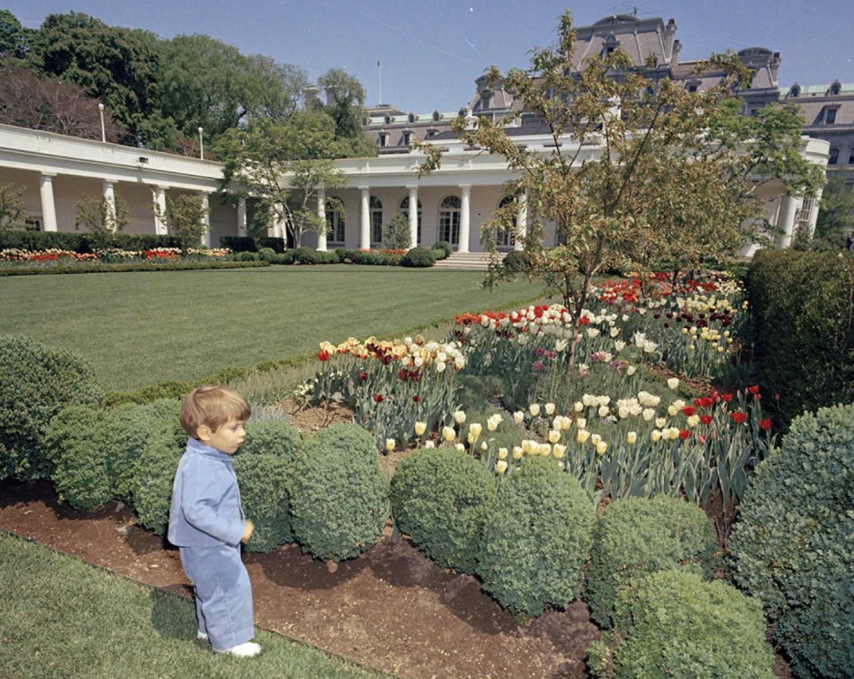 The completed Rose Garden on June 20, 1962 on the left.  John F. Kennedy Jr. in the Rose Garden, April 26 1963, on the right