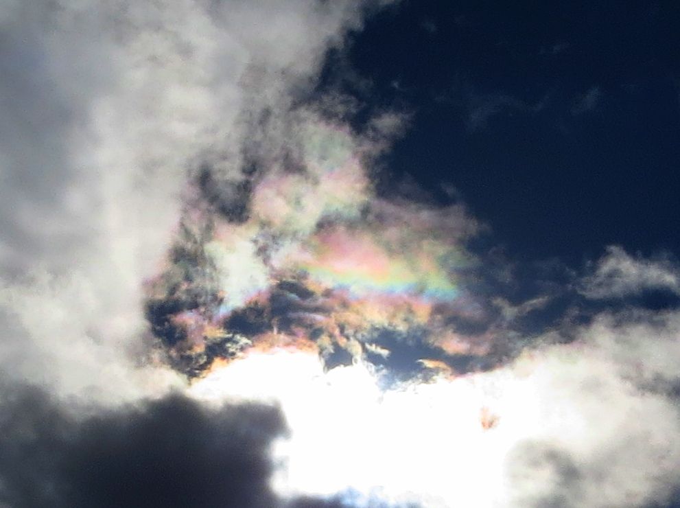 angegarrod's tweet image. Skies today with a nice patch of #iridescence #clouds @CloudAppSoc  @BBCWthrWatchers  #opticaleffects #atmosphericoptics @StormHour
