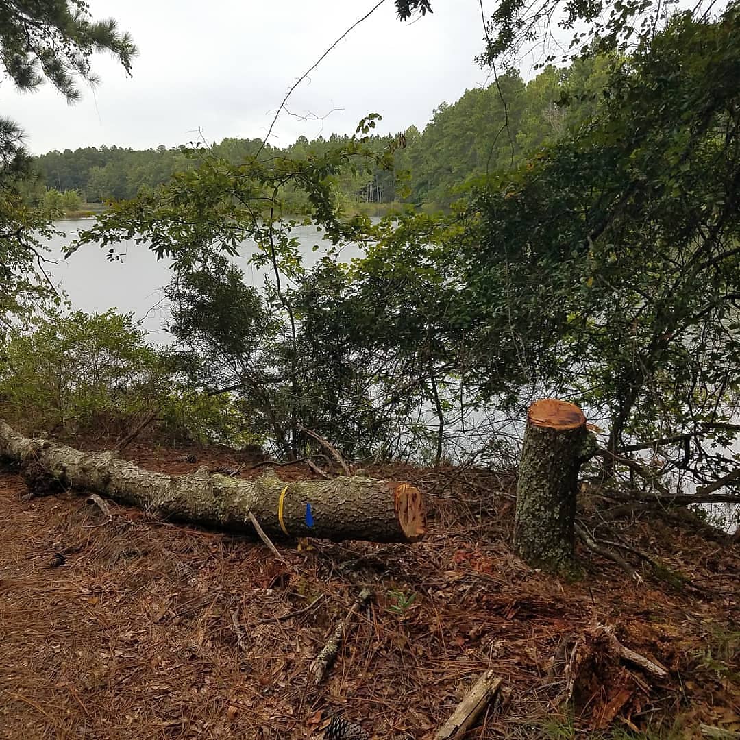 custer_sean's tweet photo. Welp.....we official y'all!!!

Tomorrow 9am @sgtjasperpark, we begin to Build-The-Trail!!! Who's joining us??

#blueeyetrail #hopeenergylife #shineon https://t.co/j8CtGDAIIF