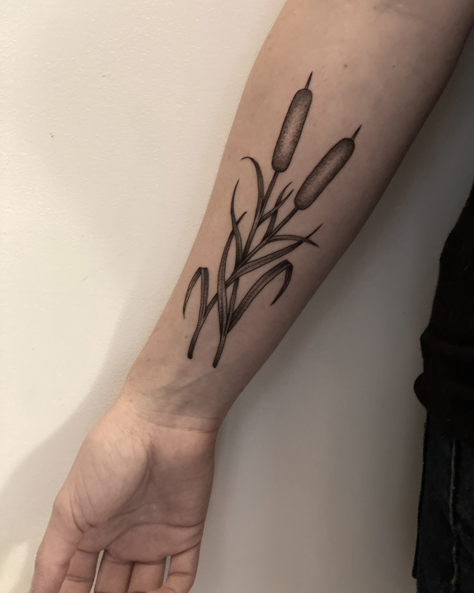 Sarah Axelrath MD on Twitter: "Tattoo artist: So, what do you do? Me: I\