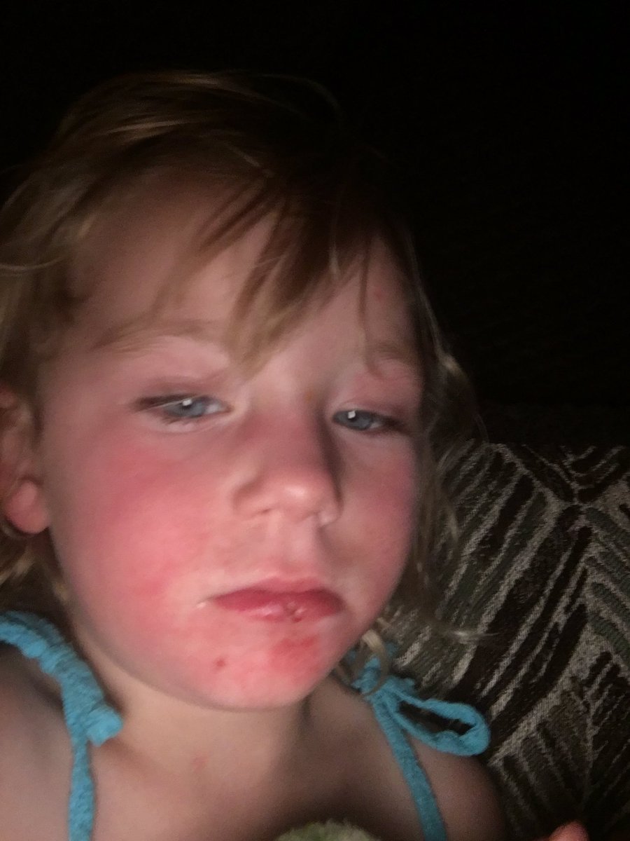 BatShitBatsy's tweet image. 