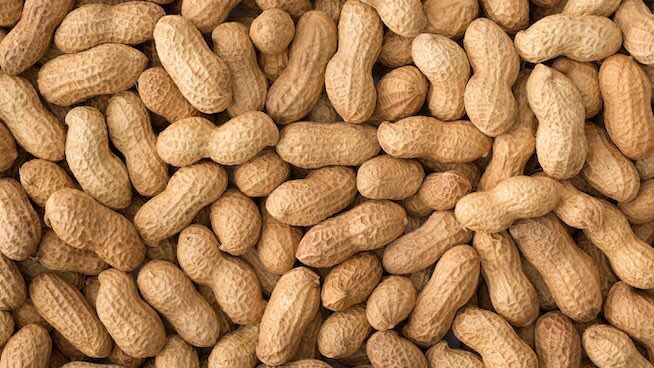 jacobsfork1's tweet image. We will begin shipping our JBSC branded peanuts to over 88 countries including South Sudan and Vatican City starting September 14th at 9:04 am