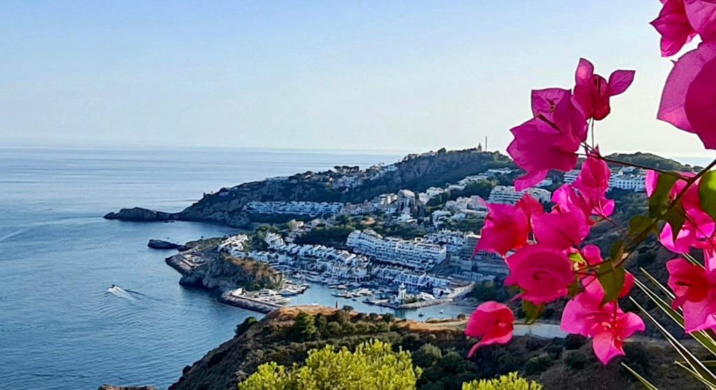 immoseven7's tweet photo. Qué vistas!!!!😍
#views
#Almuñecar
#LaHerradura
#MarinadelEste
#Cotobro
#CostaTropical
#paraiso
#paradise https://t.co/4cWUPFhvV6