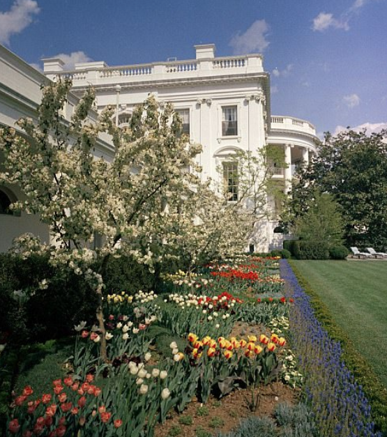 First Lady Jackie Kennedy and Bunny Mellon in two photos and a couple of early photos of the Rose Garden