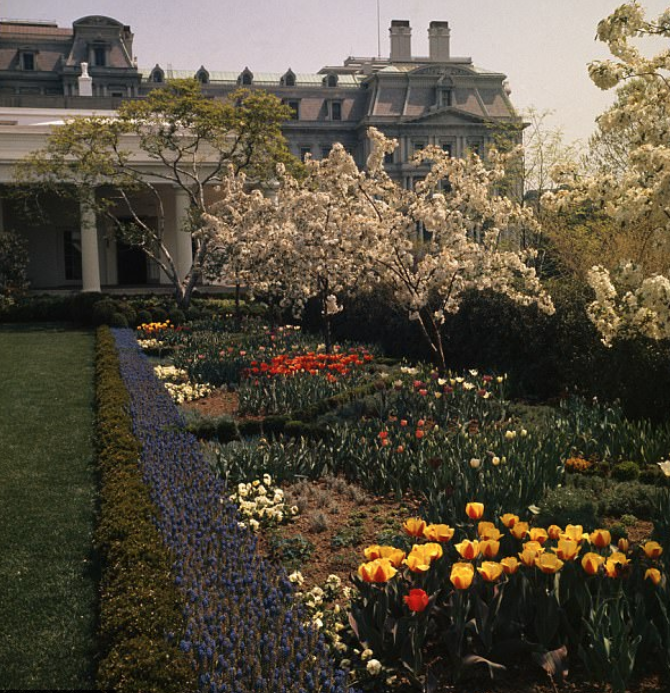 First Lady Jackie Kennedy and Bunny Mellon in two photos and a couple of early photos of the Rose Garden