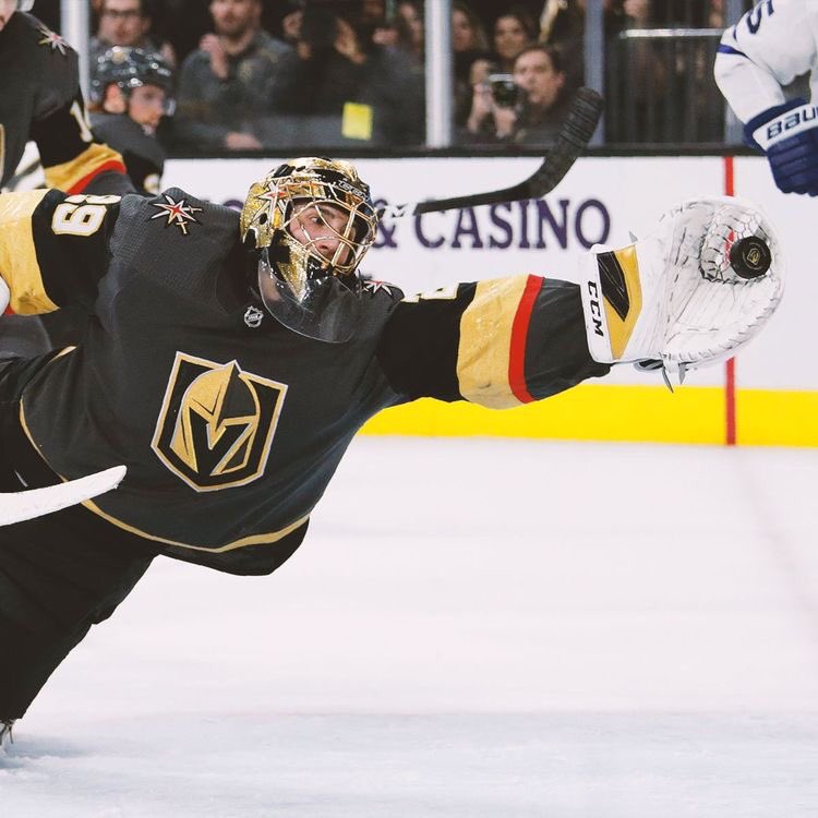 Let's flood Twitter with great pictures of Fleury to push away all this negativity #VegasBorn  