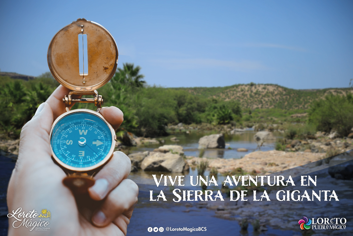 LoretoMagicoBCS's tweet photo. La Sierra cuenta con muchos recorridos para hacer hiking, una aventura llena de paisajes llenos de contrastes y grandes vistas.

Vive una aventura en Loreto, asesórate con expertos antes de realizar cualquier actividad.

https://t.co/6tVoAelE82 https://t.co/0P5dEm6kAV