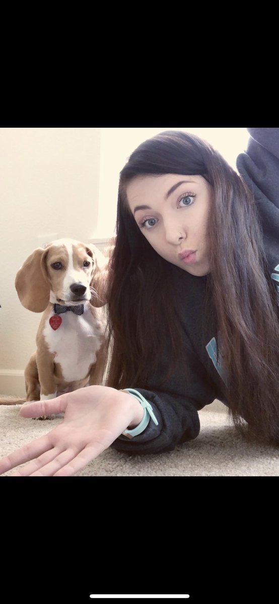 adriannaeh's tweet photo. Dear lady at Petsmart: you can call me fat and ugly... but one thing you cannot do is call MY DOG fat and ugly.  Someone tell Murphy he’s cute I think she hurt his feelings https://t.co/sz0NaoH11S