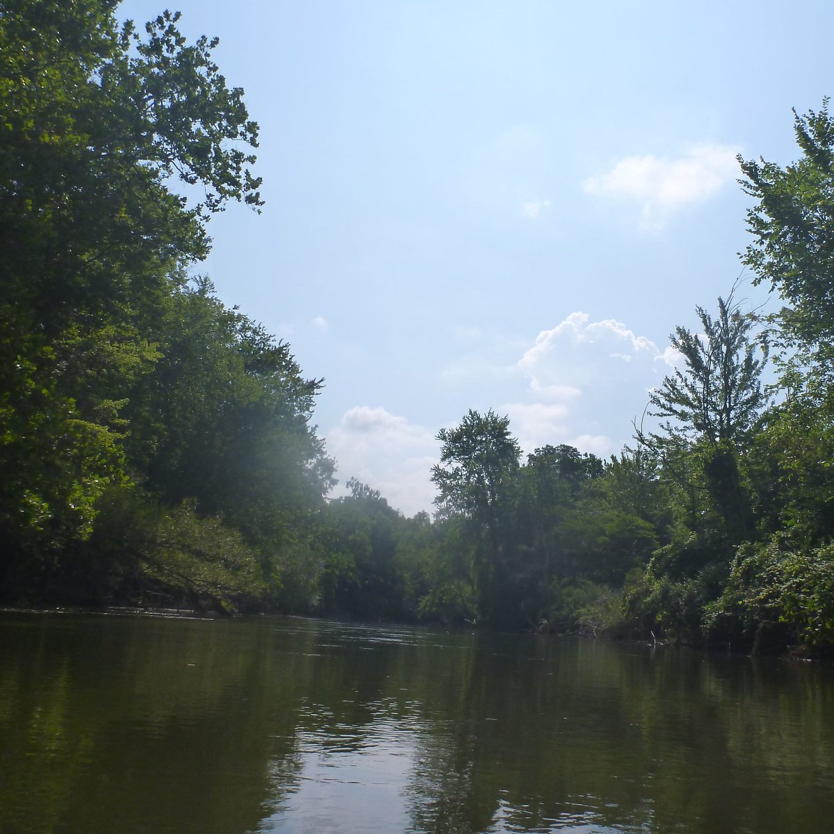 huron100's tweet photo. Finally, the finale to our journey!
Day 5: Lower Huron Metropark to Hull's Trace at Lake Erie
27.6 miles, 2 portages, about 8 hours of paddle time
Read about it at: https://t.co/5qjYzvC6ga (link in bio!)
#huron100 #huronriver #flatrockmi #lakeerie #canoeing https://t.co/zZ1zivuWZO