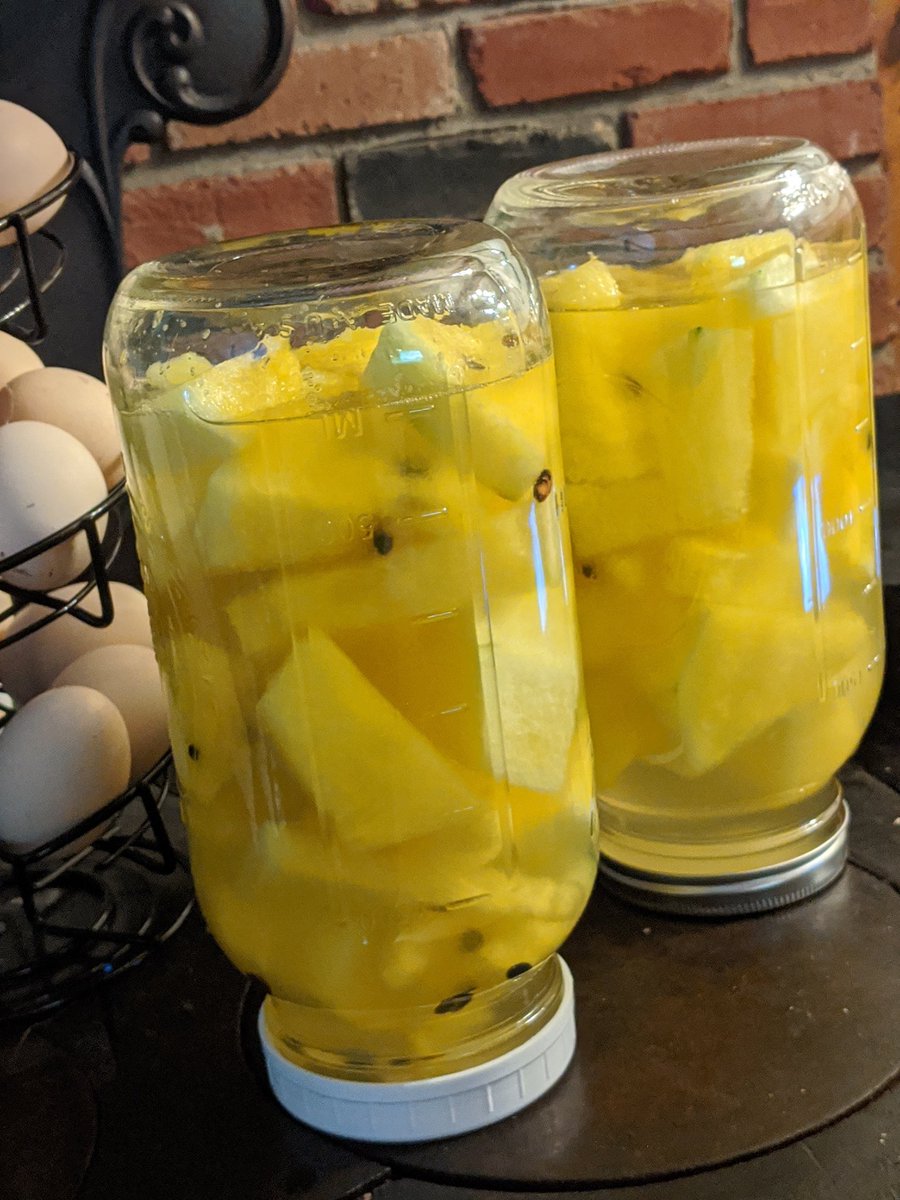 1 gal pickled yellow watermelon. These will sit for a couple days at room temp then go into the fridge.