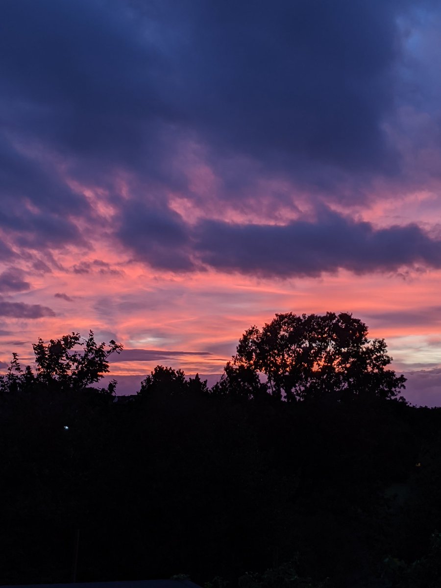 Adam Smalley tweet media