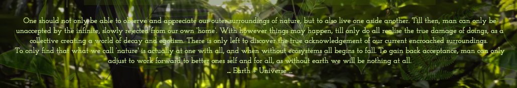 MidnightHoots's tweet photo. A little hidden note that can be found at the bottom of my website.... 🌿 https://t.co/nn4G0kN5jE