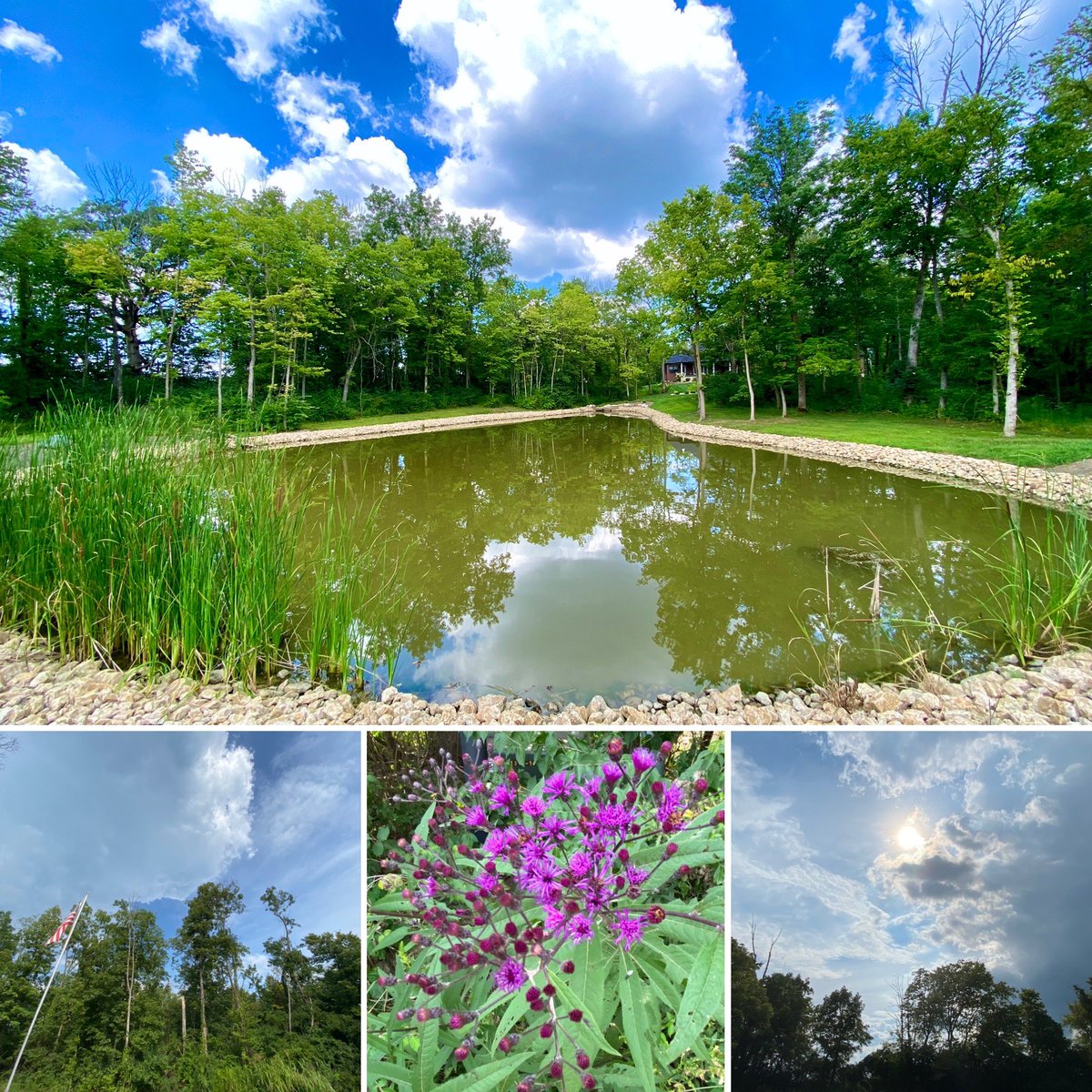 LoriLFoster's tweet image. It’s been an easy, relaxing Saturday. Just took a stroll around the pond. What’s everyone else up to? #PrettyDay