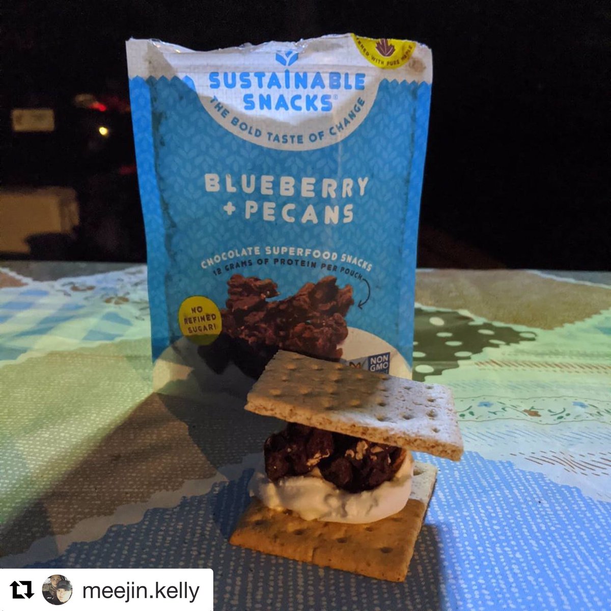 sussnacks's tweet photo. We want s’more summer Saturdays! Such a fun use of our Blueberry &amp; Pecans snacks 😍🌱 https://t.co/86K1nIqZBJ
