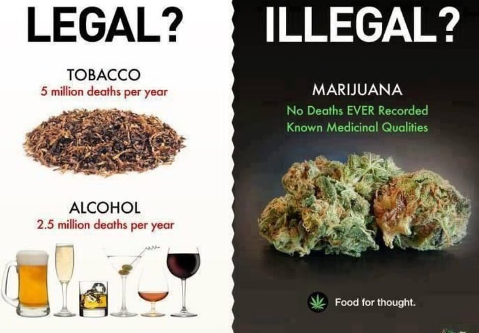 BillyMontana81's tweet photo. @BeckyJohnson222 @raftthenash It's deeper than that. As a weed smoker I can confirm cannabis is a gateway plant to higher consciousness. And  prior to it's prohibition grew abundantly. Washington made his fortune off weed &amp; hemp. Alcohol is a man-made depressant, that attacks the liver. The seat of the soul. https://t.co/thh0ZAxJ7n