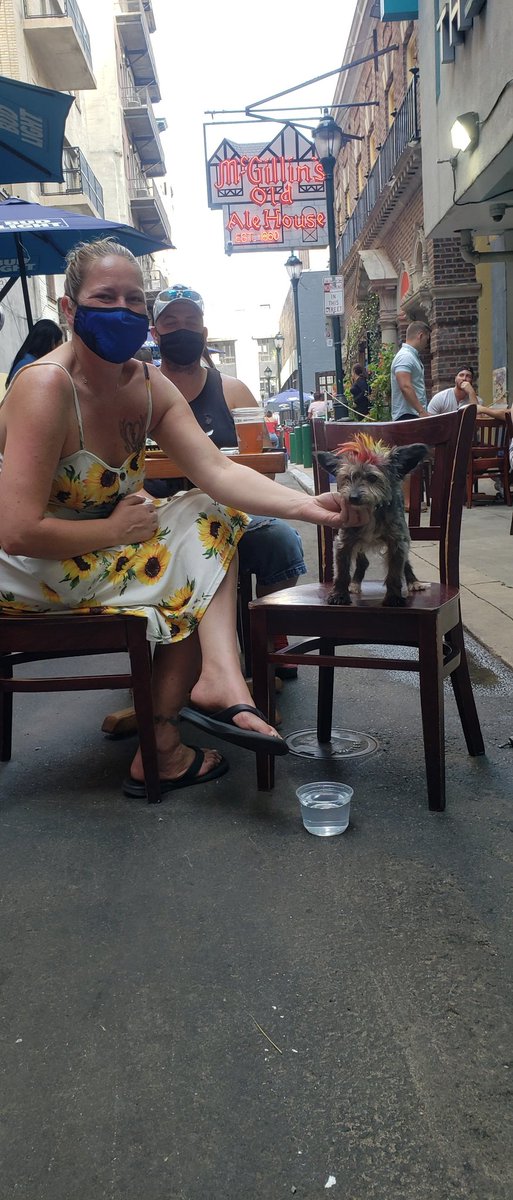 GabrielleRubes's tweet photo. Dog Days of Summer @McGillins #DogDrinking https://t.co/jVCk0GfnE1