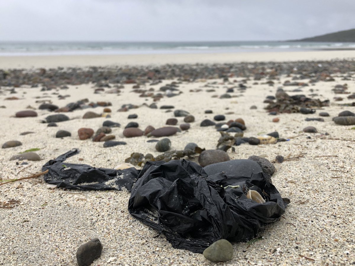SuilanSpink's tweet photo. other pics from the day, packaging straps always ~ they should be banned ~ disintegrate quite quickly .. and #balewrap, curse of the #wildside https://t.co/zD3rPmehEt