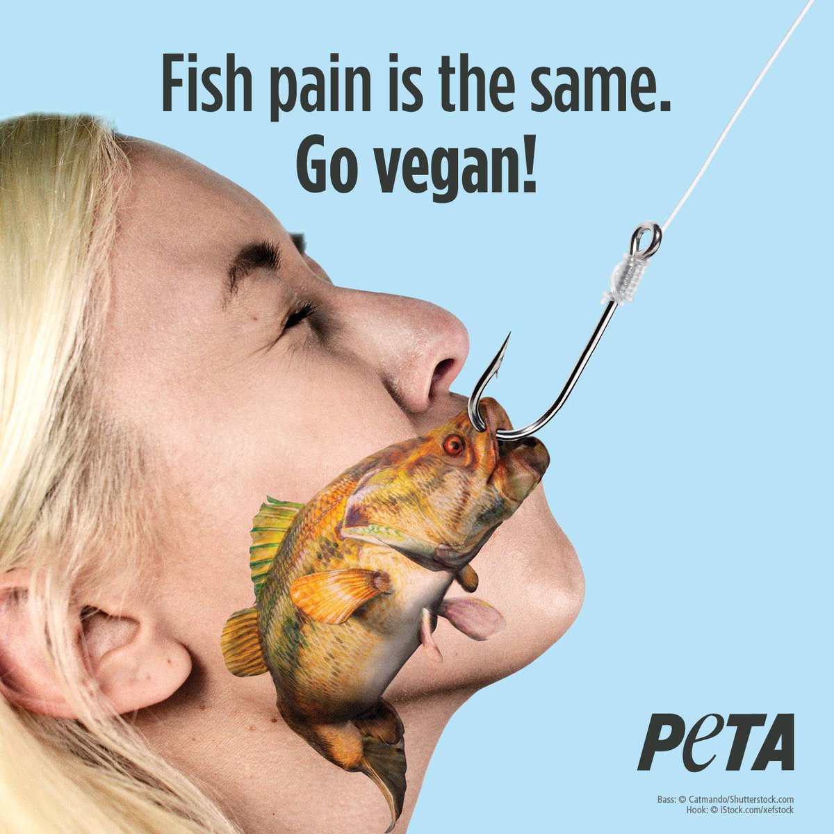 PETA on Twitter: PETA on Twitter: