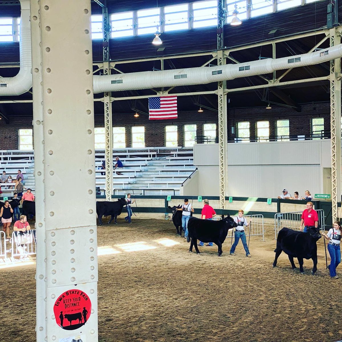 mg_koenig's tweet photo. Great weekend at the ISF Special Edition. Proud of how hard Silas works and his helpfulness in the barn with his peers. https://t.co/L9ahAs7HeO