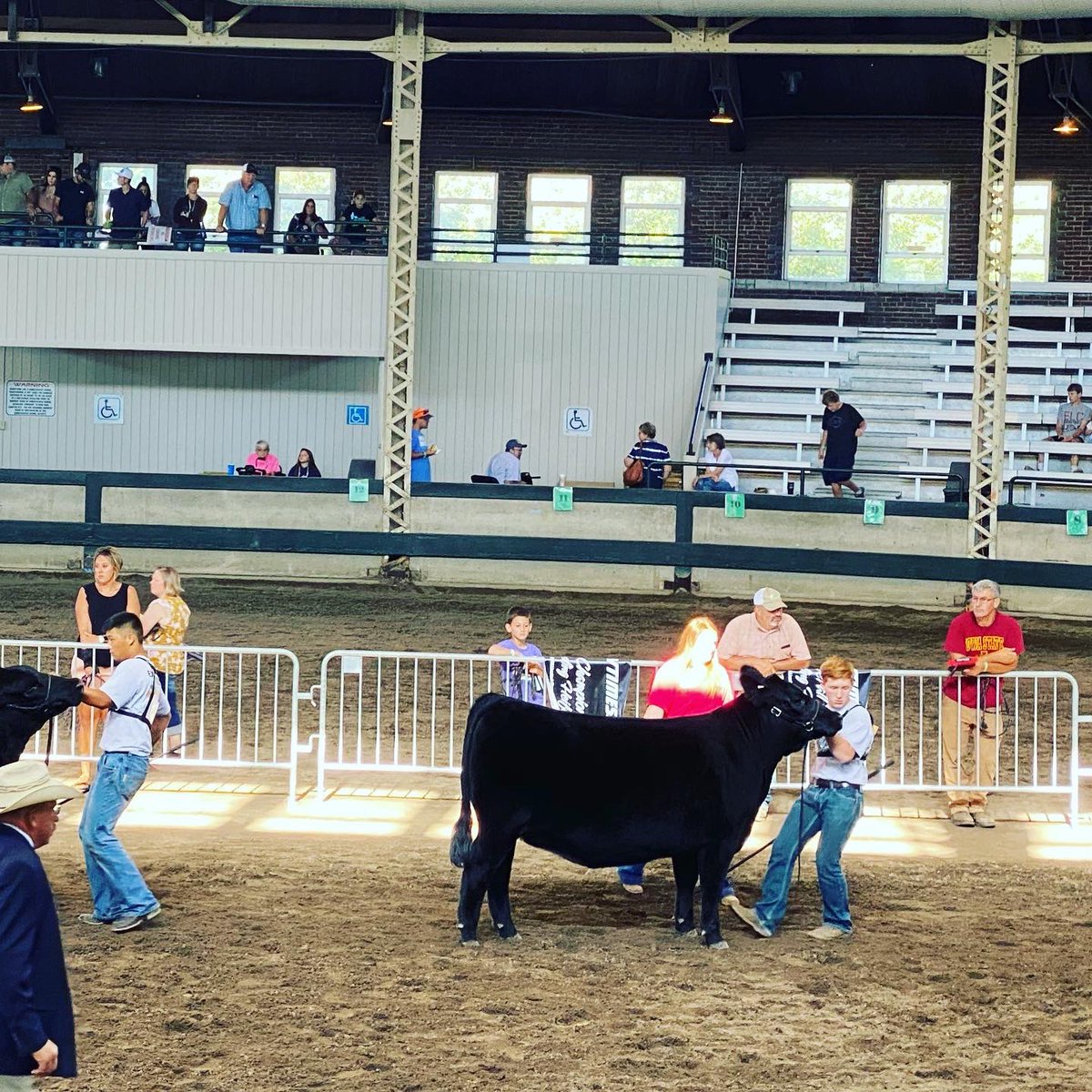 mg_koenig's tweet photo. Great weekend at the ISF Special Edition. Proud of how hard Silas works and his helpfulness in the barn with his peers. https://t.co/L9ahAs7HeO