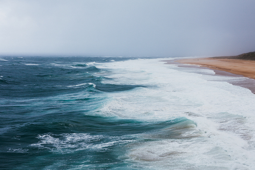 Archillect (@archillect) on Twitter photo 