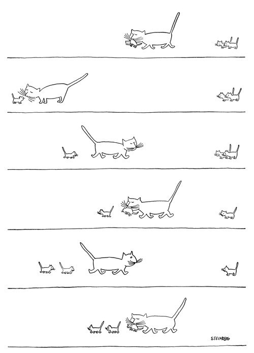 Sam Innes (@saminnes_garden) | Twitter