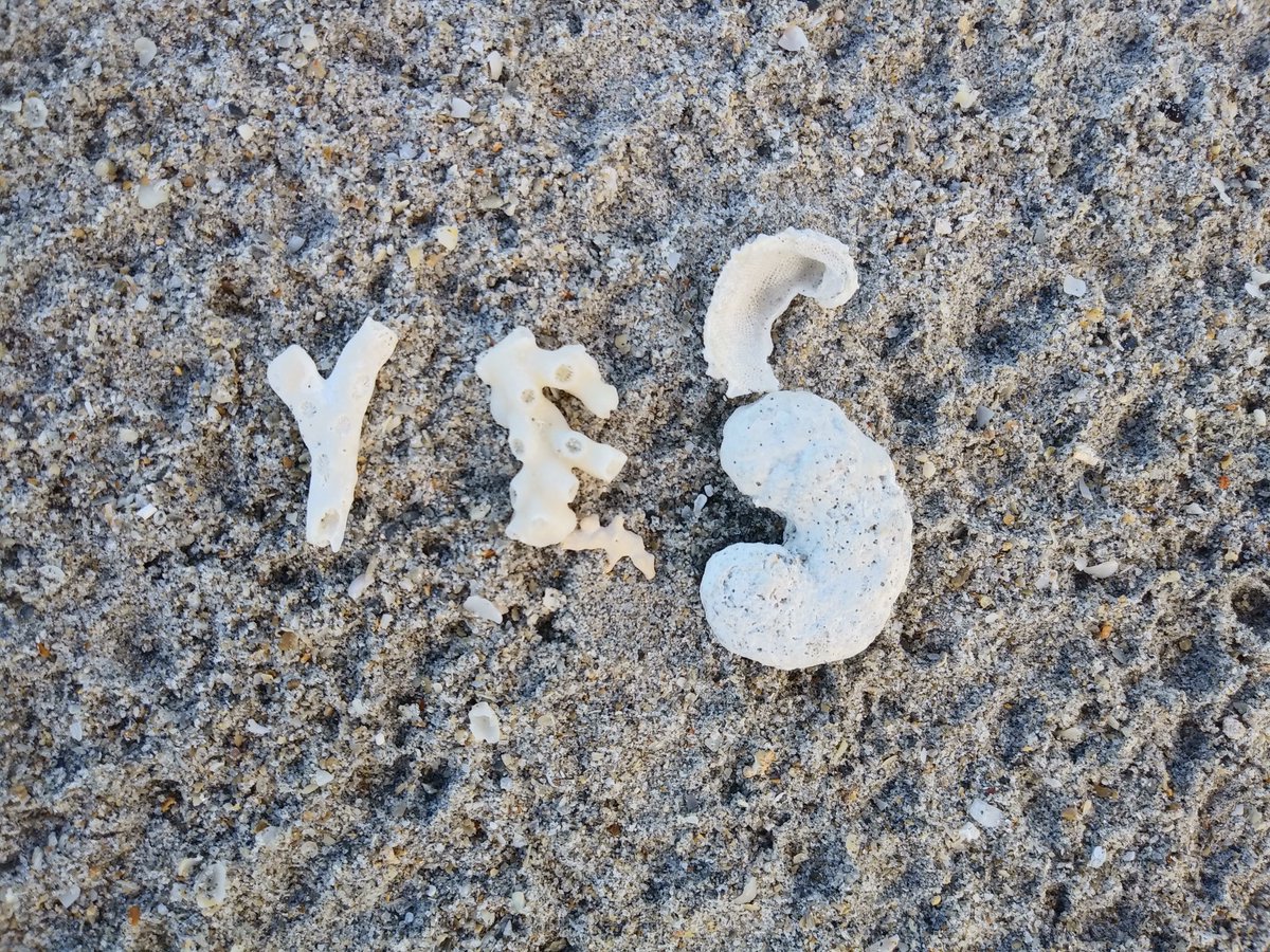 Frits (@rarerepair) on Twitter photo 