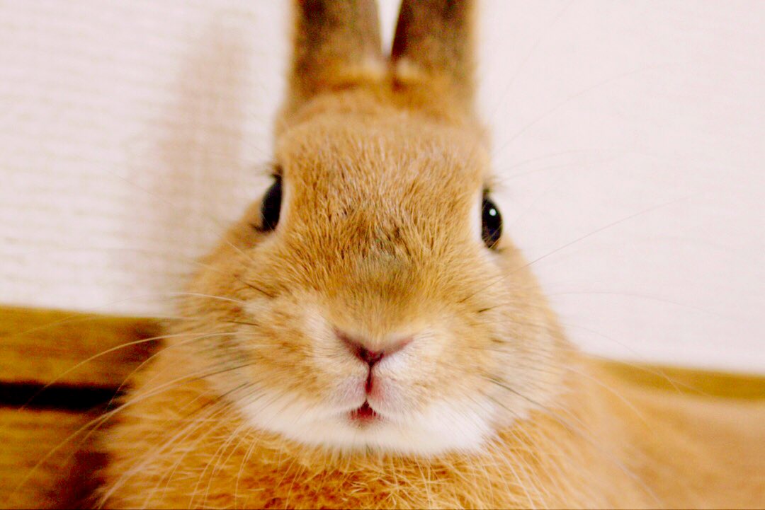 おちょぼ口かわいいね🤤⭐️