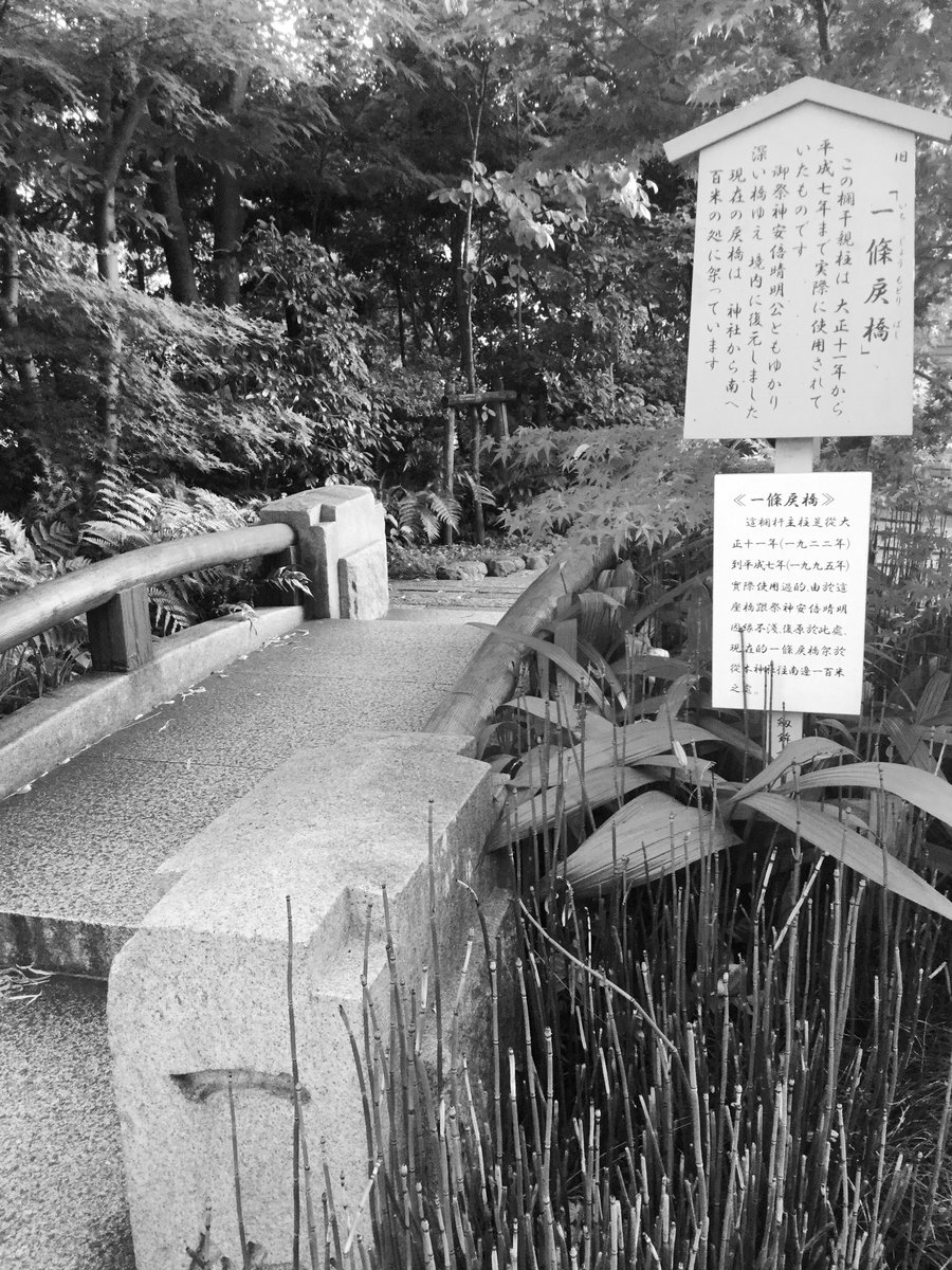 #怖い話書くからリツイートして
京都の晴明神社に行ったとき
着いてすぐ一条戻橋の写真撮ろうとしたら
猛烈な頭痛に襲われて
「失礼しましたすみません」
と鳥居に向かって脱帽して謝ったら治った

晴明さま本当に失礼しました 