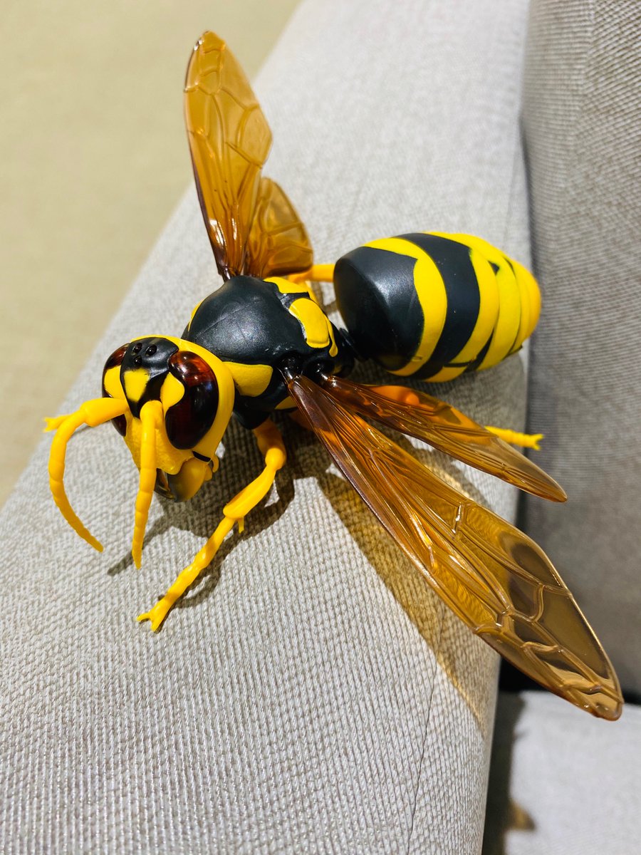 最近のガチャポン凄い🐝
腹も可動式で針も出る📌 