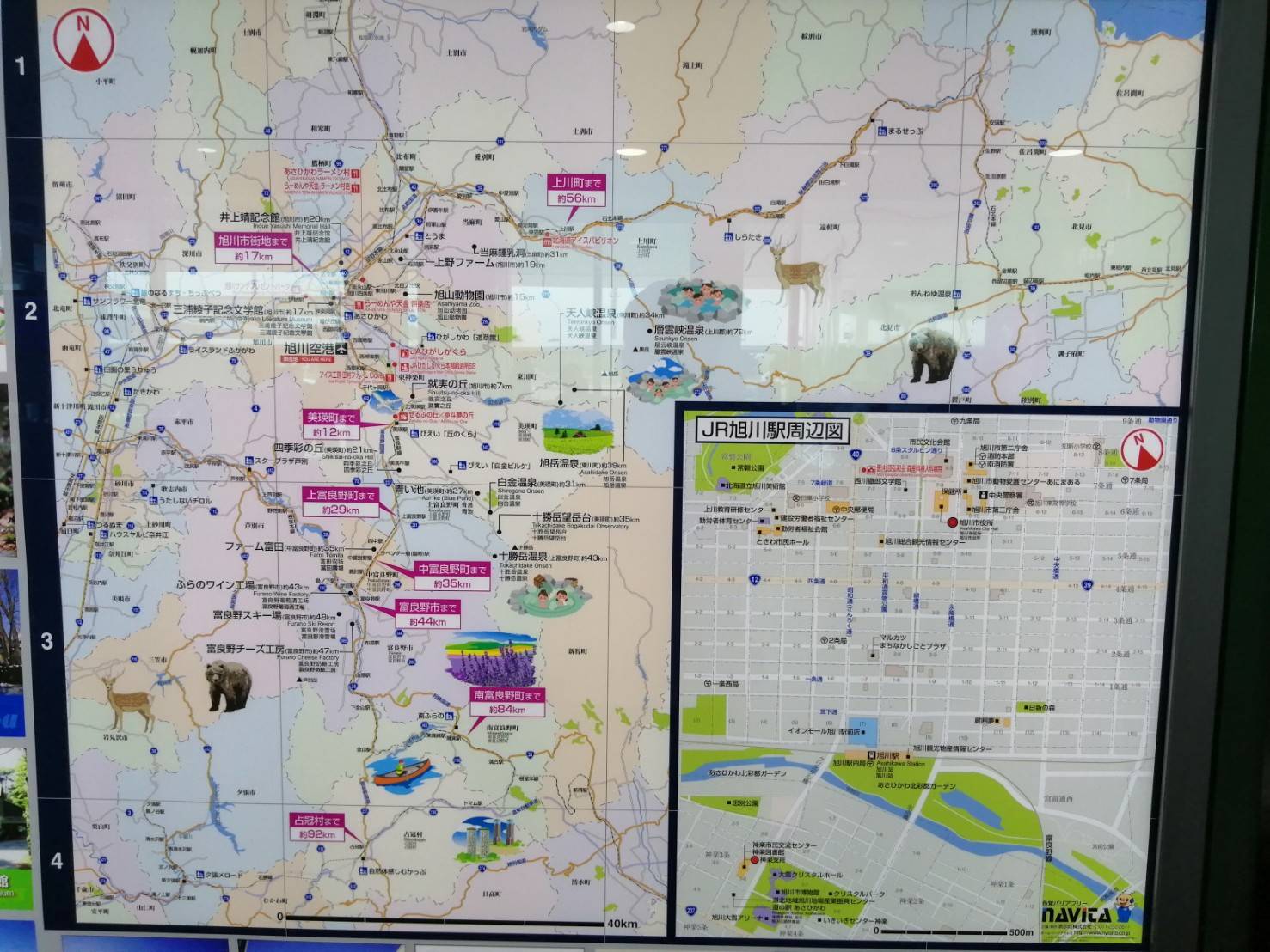 東京カートグラフィック على تويتر 小林です 旭川空港の地図には動物が描いてありました そしてすぐ鹿とキツネを目撃 やっぱりすごいな 北海道