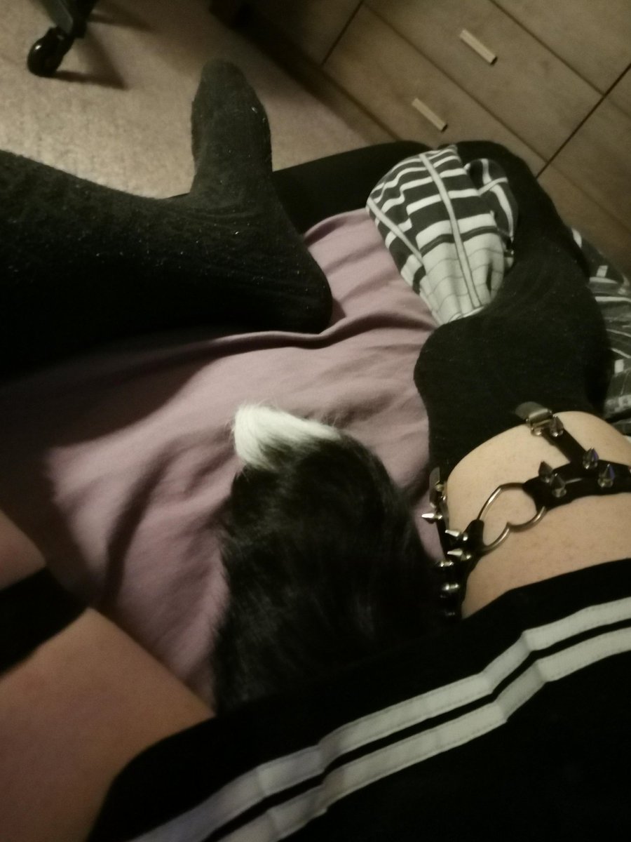Koia39's tweet photo. so lazy come snuggles #femboy #trap #lewd https://t.co/QOJdhEFSkg