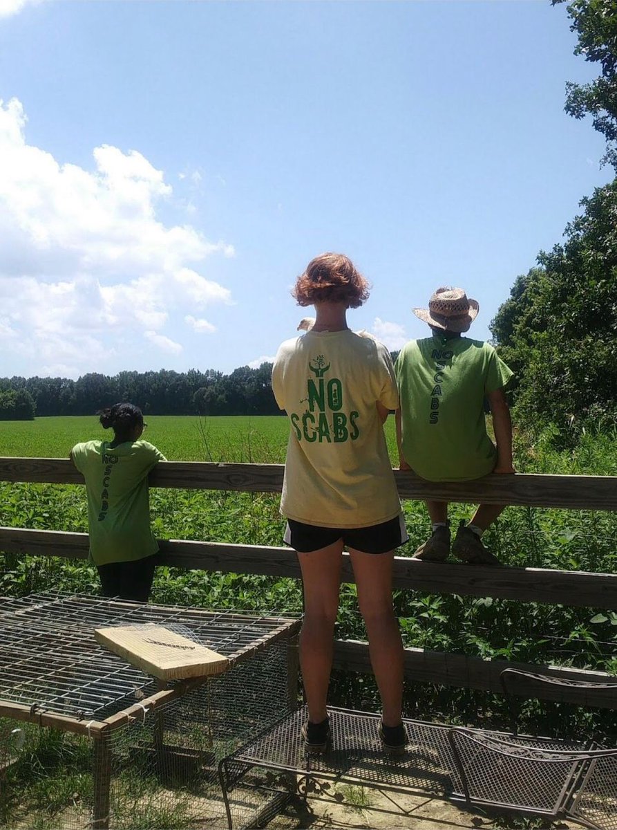 This school year might look different but we are happy to be back &amp; learning! Things look different at the farm too, but our staff are continuing to work hard. Follow us on social media for updates &amp; ways you can stay involved as we all adapt to the new normal this school year!