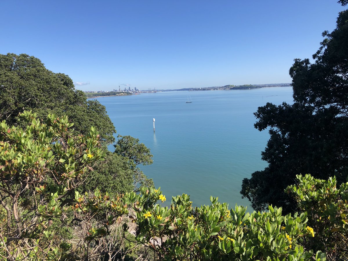 #NZHellhole #StHeliersLookout