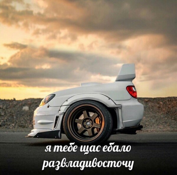 887hope's tweet photo. @Punk_Pig @TryLa1a https://t.co/6Fm1TcVfIQ