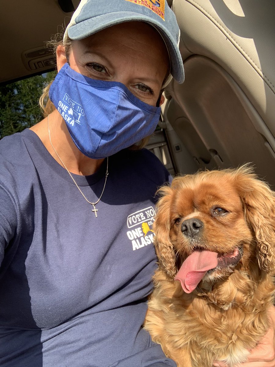 KaraGMoriarty's tweet photo. Ruby ❤️ Campaigning! @WeAreOneAlaska #voteNOon1 #beautifulyards #8959steps #covidcampaigning #longdriveways https://t.co/ywWALFsH4J