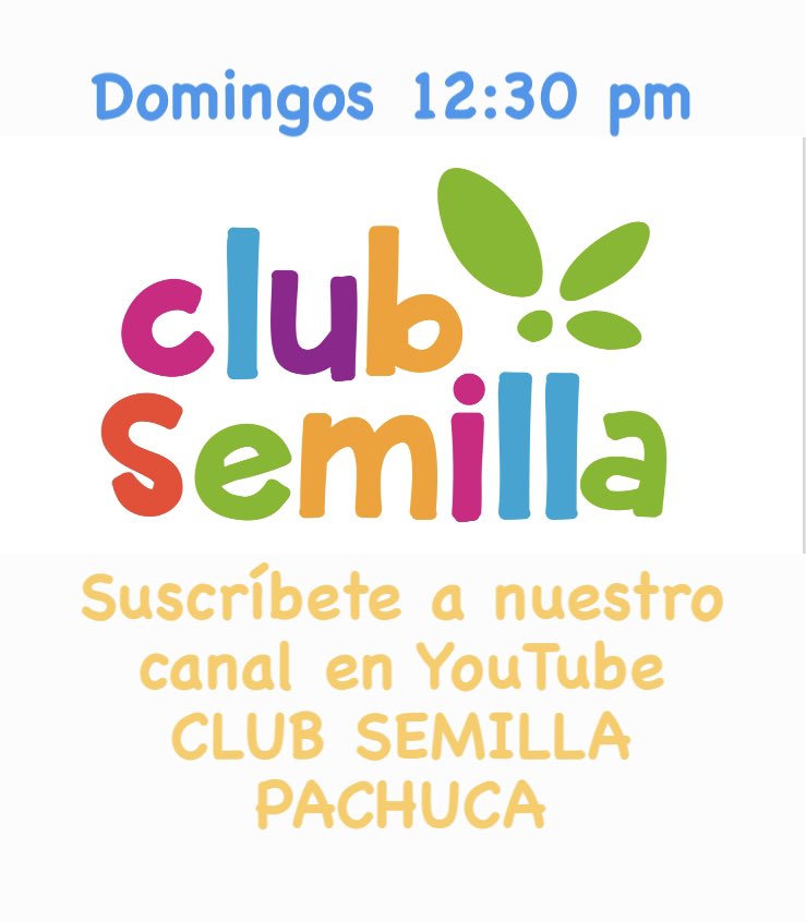 SemillaPachuca's tweet photo. Suscríbete a nuestro canal YouTube #SemillaPachuca #ClubSemilla 🔔 https://t.co/oLYUcVDNwp
