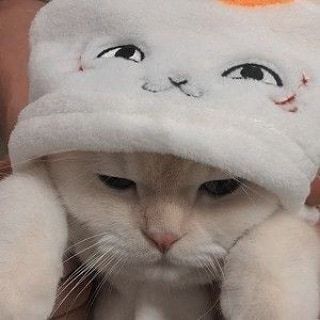 bliboos's tweet image. ⟶  @wngsushi ─...𝔰.𝔬.𝔯.𝔯.𝔶 𝚏𝚘𝚛 𝚗𝚘𝚝 𝚋𝚎𝚒𝚗𝚐 𝚝𝚑𝚎 𝒃𝒆𝒔𝒕 𝒃𝒐𝒚𝒇𝒓𝒊𝒆𝒏𝒅 𝕚𝕟 𝕥𝕙𝕖 𝕨𝕠𝕣𝕝𝕕. 
       𝐵𝑢𝑡 𝑟𝑒𝑔𝑎𝑟𝑑𝑙𝑒𝑠𝑠 𝔬𝔣 𝔢𝔳𝔢𝔯𝔶𝔱𝔥𝔦𝔫𝔤 𝐈 𝐥𝐨𝐯𝐞 𝐲𝐨𝐮 with αll му нєαят ...㸑_