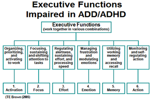 adhd is a neurological disorder that doubles as a learning disability. while it is commonly boiled down to being hyperactive & distractible, it actually impacts several core functions of day-to-day life referred to as 'executive functioning'