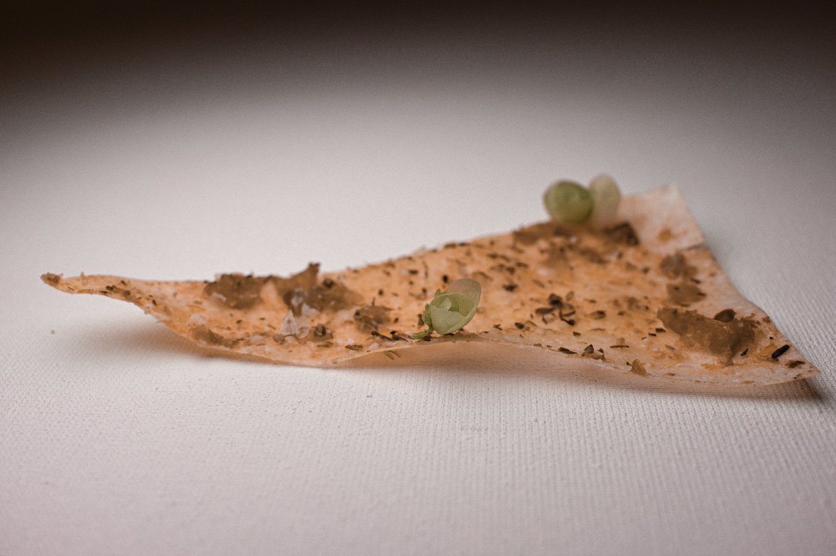 🍕📄 Pizza Paper