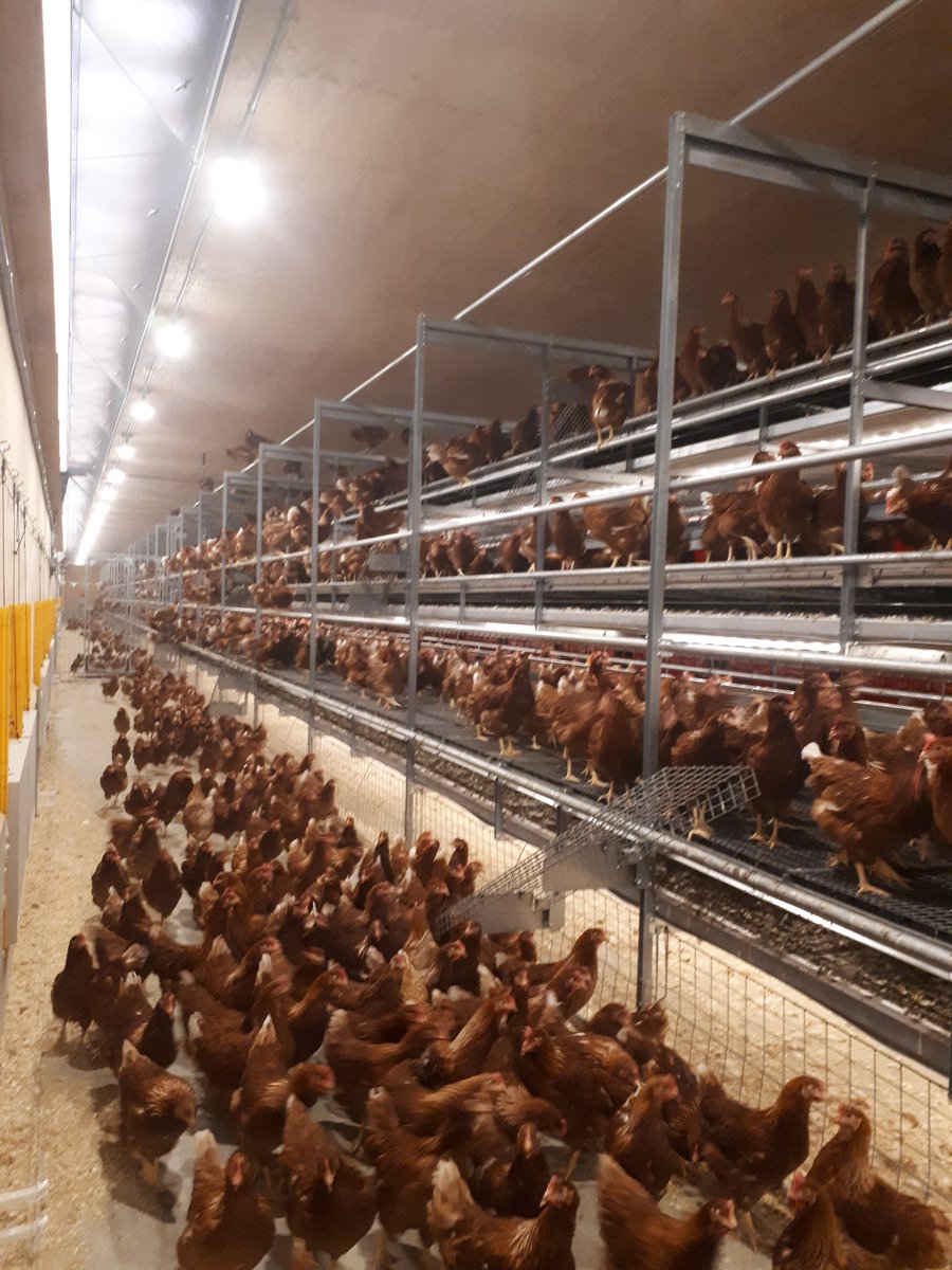 Tylor Van Kessel tweet media