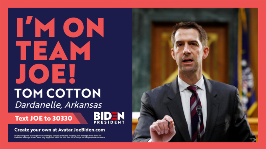 TomCotton's tweet photo. @Kenny_Sowellfan @realDonaldTrump @LouDobbs https://t.co/m7NsxSRxyo