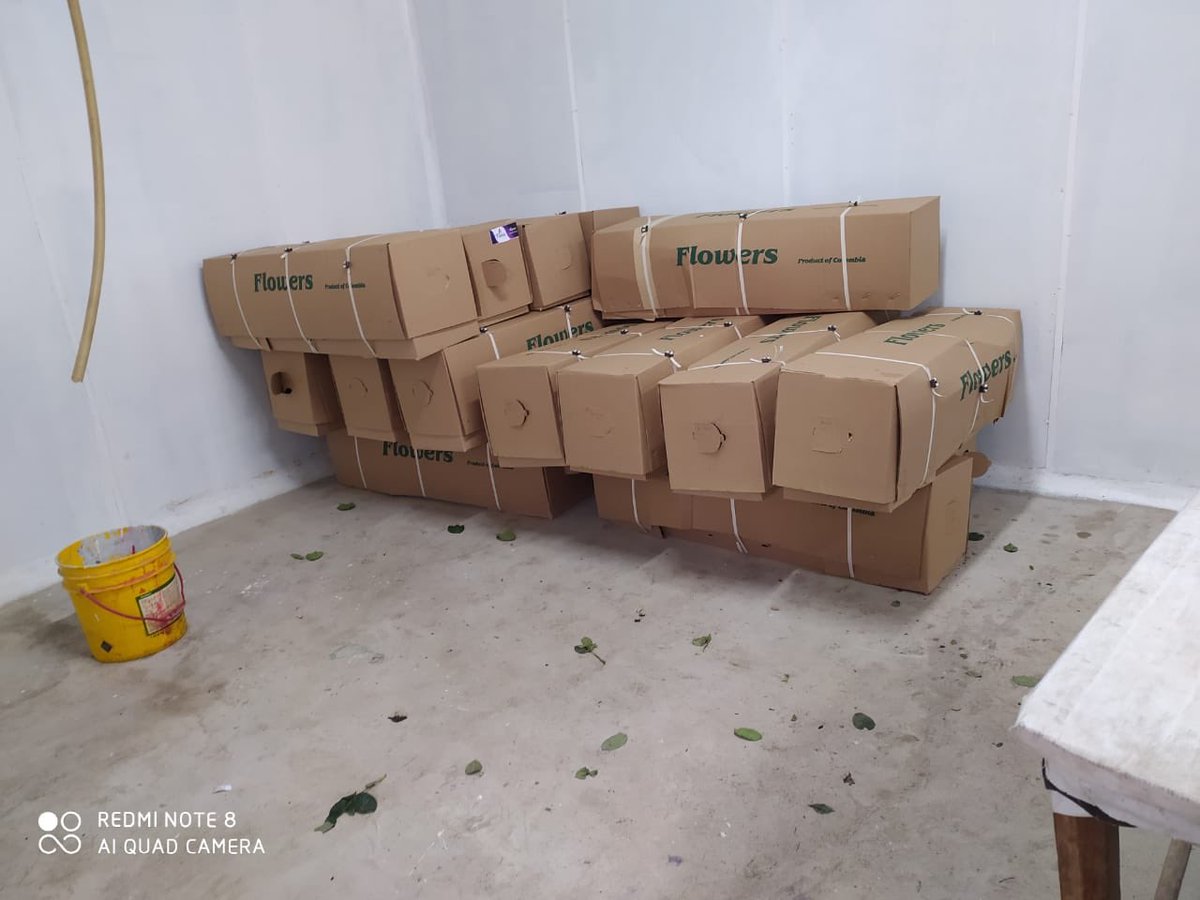 BoyacaExporta's tweet photo. La reactivación económica en Boyacá se hace exportando, hoy enviamos desde Cerinza a Bucarest (Rumania) 7.000 tallos de las mejores rosas del departamento, felicitaciones a Cerenza Flowers quienes han creído que si es posible conquistar mercados internacionales @RamiroBarraganA https://t.co/2MYhfpEkSv