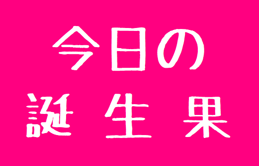 銭澤時計店 公式 信州上田 誕生樹 エノキ 榎 花言葉 力を合わせる 榎 は夏に日陰を作る樹を意味する和製漢字 誕生果 ルビー オクヤマ 葡萄 果物言葉 あなただけ 熱愛