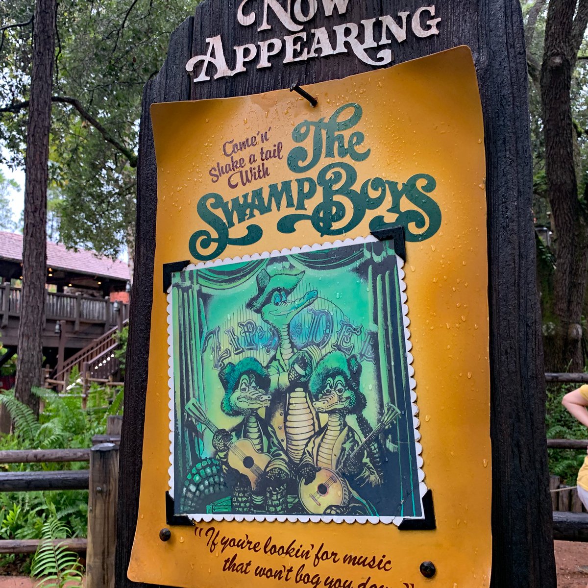 I have many memories of standing in the queue line at Splash Mountain, before the days of FastPass, when one could meet all kinds of interesting people from around the world.