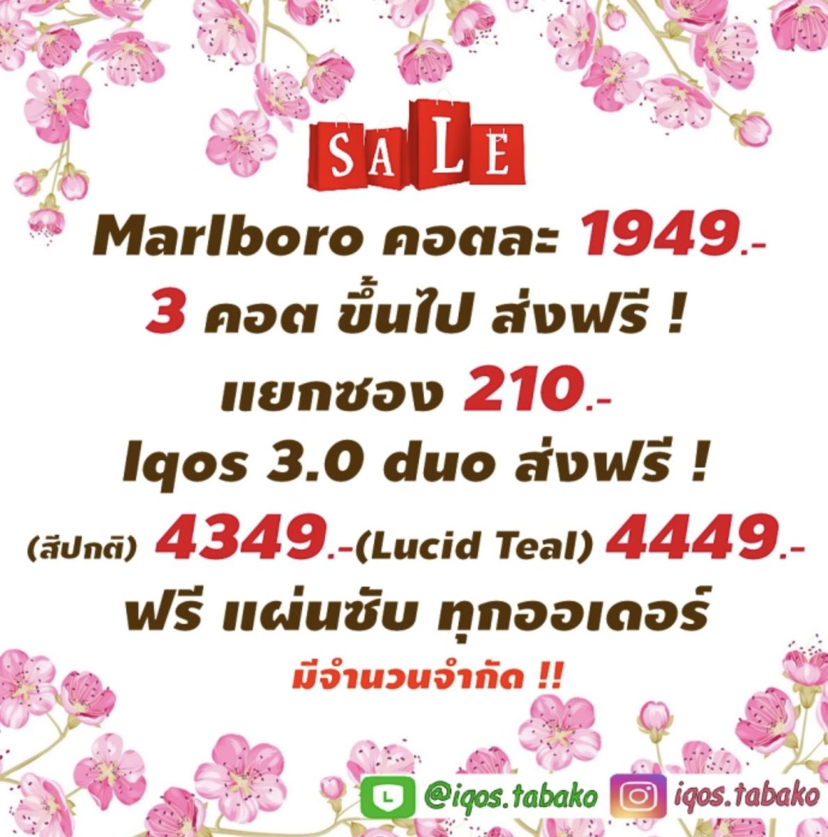 IqosTh's tweet photo. ➡️➡️ https://t.co/qn98I6PQ2M  ⬅️⬅️      #iqos #ขายiqos #iqosthailand #ไอควอส #พร้อมส่ง #บุหรี่iqos #marlboroiqos  #heatsticks #ไส้iqos #บุหรี่ #iqosth https://t.co/94I8GadYmM