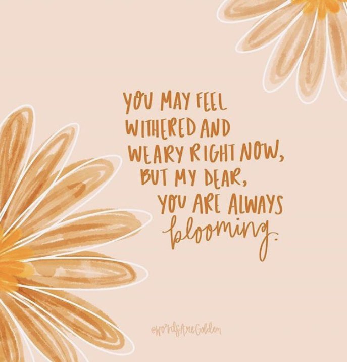 You may feel withered and weary right now, but my dear, you are always blooming.  #alwaysblooming #SaturdayVibes