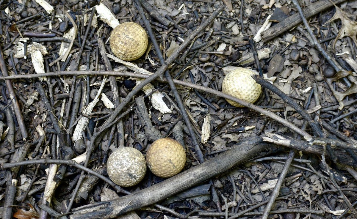 Then, I lost the trail and got all kinds of... misplaced... and ended up in an area that appears to have once been a shallow pond at some point.And that’s when I found these strange eggs. Perfectly round. Dimpled. Said Spaulding on them.In deep, remote woods. 8/