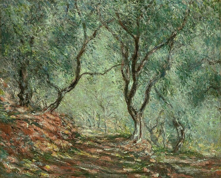 Bois d'oliviers au jardin Moreno - Claude Monet
