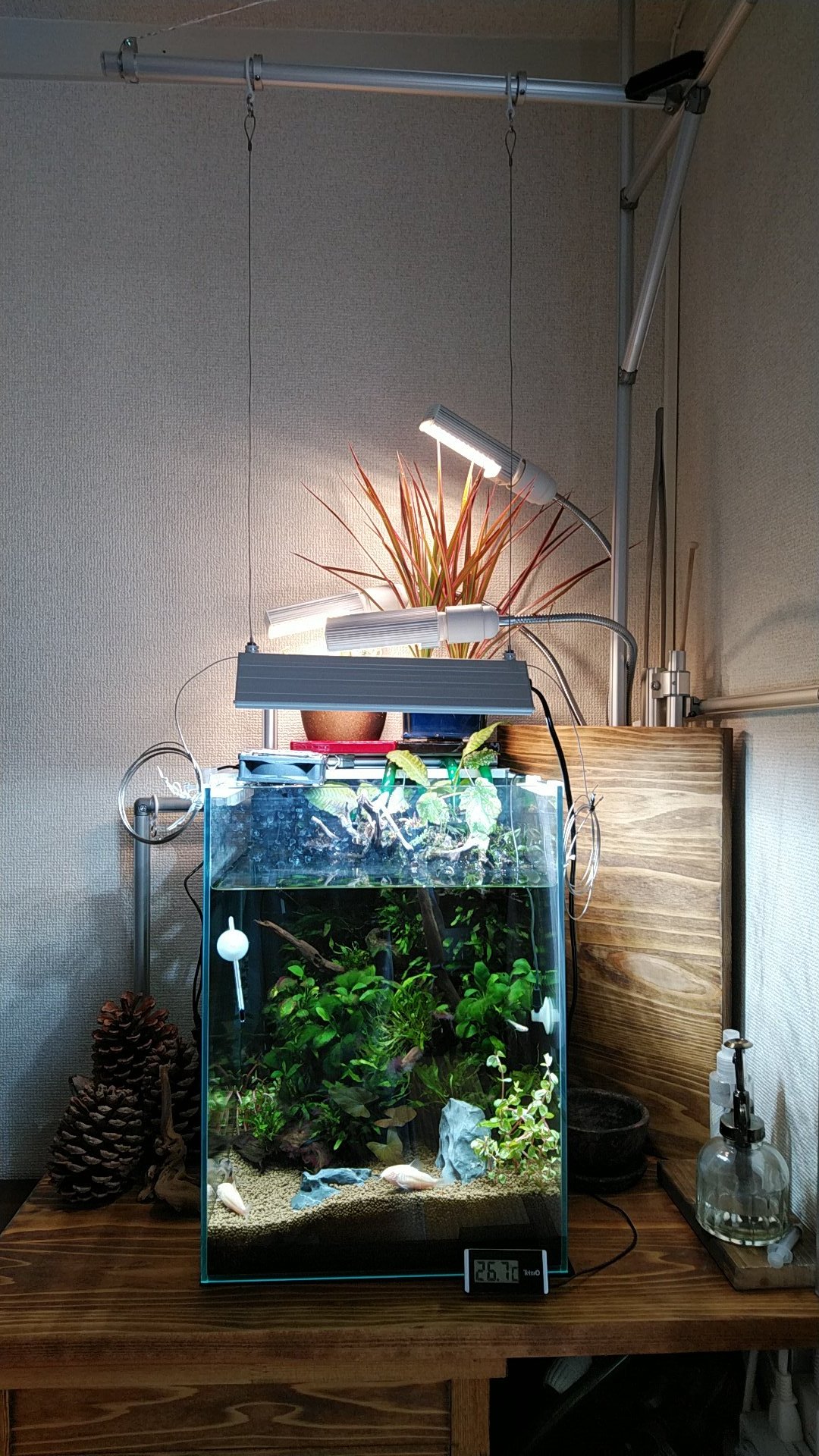 ロイド さて コチャゴチャした水槽廻りをスッキリさせたい 特にこの照明スタンドは水替えの時に邪魔 ファンは問題外 アクアリウム 水槽 熱帯魚 Diy Sus Gfun T Co Darfzj3eiu Twitter